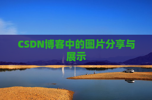 CSDN博客中的图片分享与展示